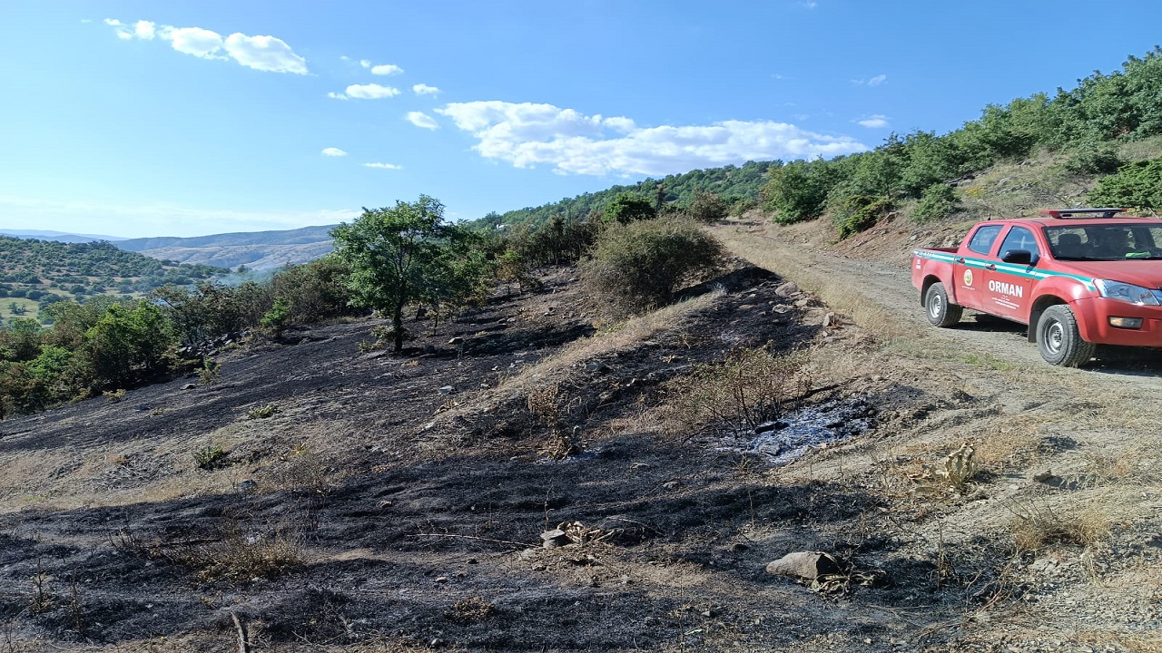 Baskil Aladikme Köyünde Çıkan Yangın Kontrol Altına Alındı